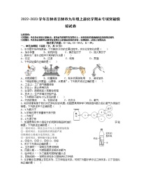 2022-2023学年吉林省吉林市九年级上册化学期末专项突破模拟试卷（含解析）