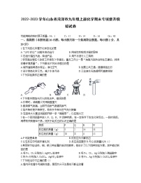 2022-2023学年山东省菏泽市九年级上册化学期末专项提升模拟试卷（含解析）