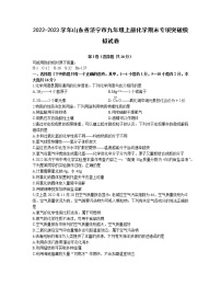 2022-2023学年山东省济宁市九年级上册化学期末专项突破模拟试卷（含解析）