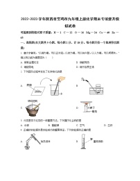 2022-2023学年陕西省宝鸡市九年级上册化学期末专项提升模拟试卷（含解析）