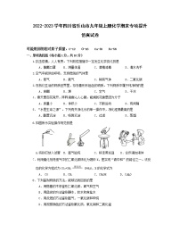 2022-2023学年四川省乐山市九年级上册化学期末专项提升仿真试卷（含解析）