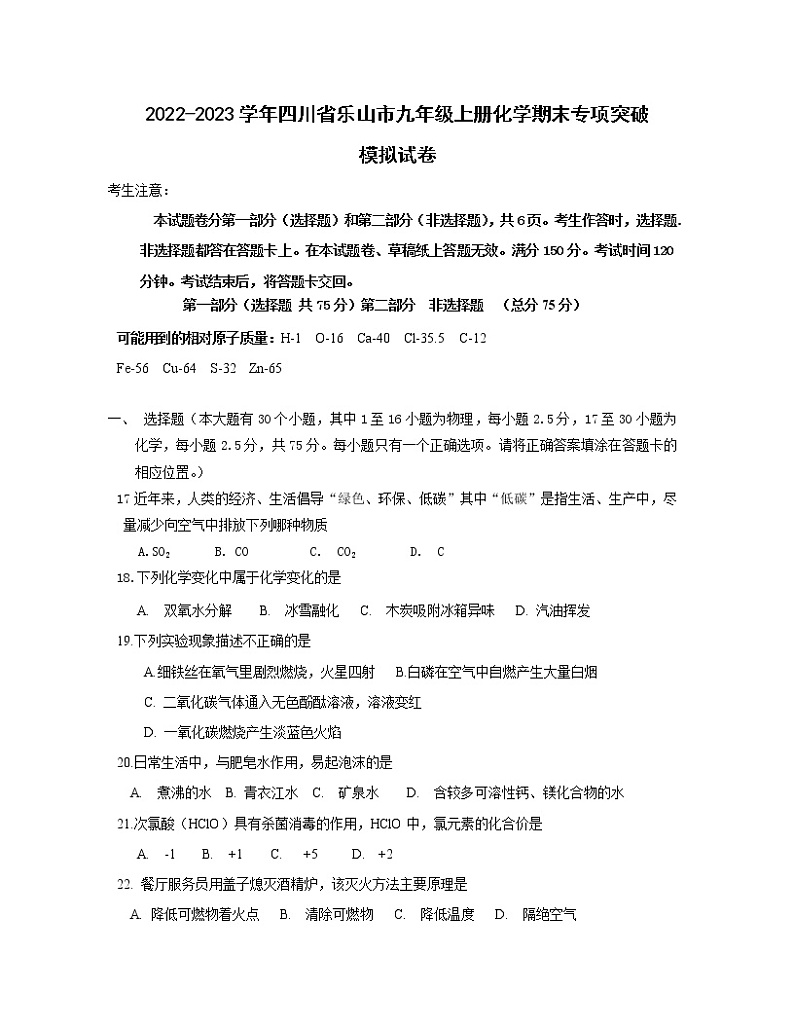 2022-2023学年四川省乐山市九年级上册化学期末专项突破模拟试卷（含解析）第1页
