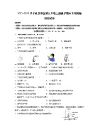 2022-2023学年重庆市区域九年级上册化学期末专项突破模拟试卷（含解析）