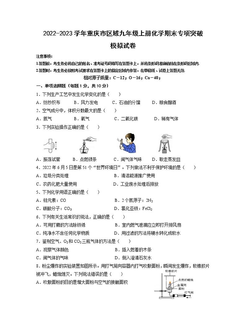 2022-2023学年重庆市区域九年级上册化学期末专项突破模拟试卷（含解析）第1页