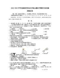 2022-2023学年安徽省阜阳市九年级上册化学期末专项突破模拟试卷（含解析）