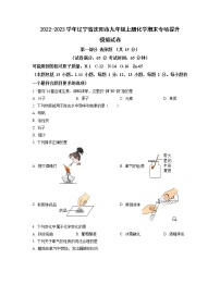 2022-2023学年辽宁省沈阳市九年级上册化学期末专项提升模拟试卷（含解析）