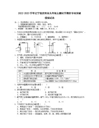 2022-2023学年辽宁省沈阳市九年级上册化学期末专项突破模拟试卷（含解析）