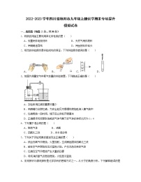 2022-2023学年四川省绵阳市九年级上册化学期末专项提升模拟试卷（含解析）