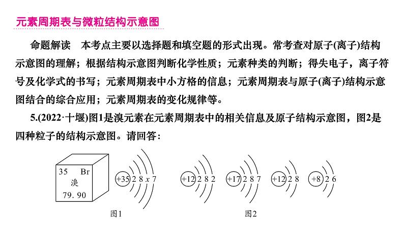 2023年中考化学一轮复习课件构成物质的微粒 认识化学元素第5页