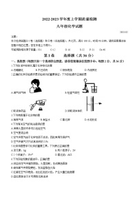 山东省临沂市费县2022-2023学年九年级上学期期末化学试题（含答案）