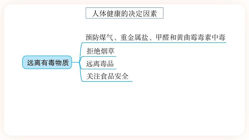 【备战2023】中考化学一轮复习：第12讲《化学与人体健康》课件第3页