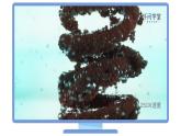 课题2-2+金属的化学性质（PPT课件）-九年级下册化学同步精品讲义（人教版）