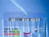 课题1-1 生活中常见的盐——氯化钠 粗盐提纯（PPT课件）-九年级下册化学同步精品讲义（人教版）