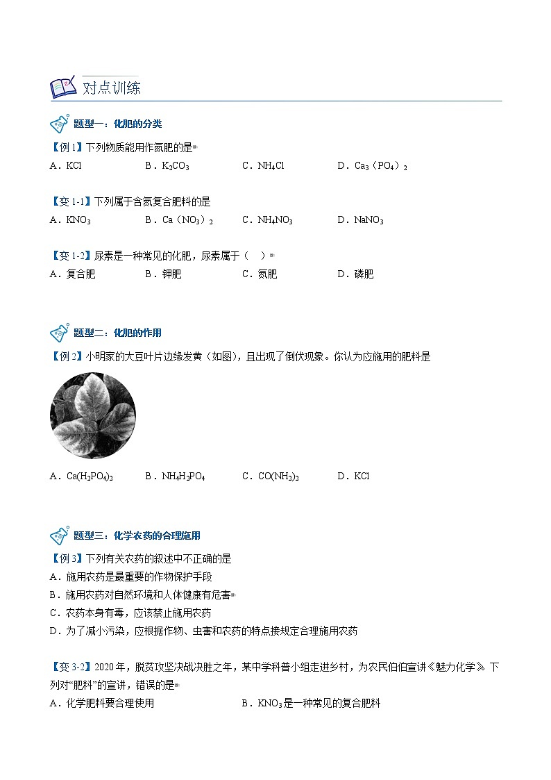 课题2 化学肥料（学生版）-九年级下册化学同步精品讲义（人教版）第3页