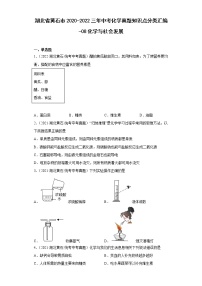 湖北省黄石市2020-2022三年中考化学真题知识点分类汇编-08化学与社会发展