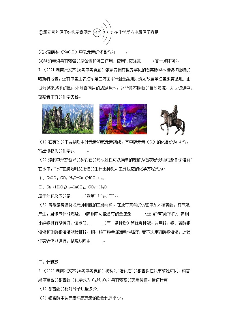 湖南张家界市2020-2022三年中考化学真题知识点分类汇编-02物质构成的奥秘（化学元素、物质组成的表示）第3页