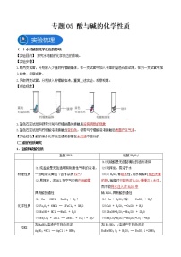 中考化学二轮实验专题复习专题05酸与碱的化学性质（教师版）