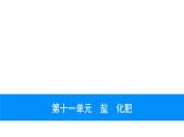 2023年中考安徽专用化学一轮考点知识梳理第十一单元　盐　化肥课件PPT