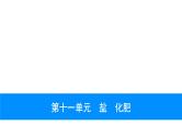 2023年中考安徽专用化学一轮考点知识梳理第十一单元　盐　化肥课件PPT