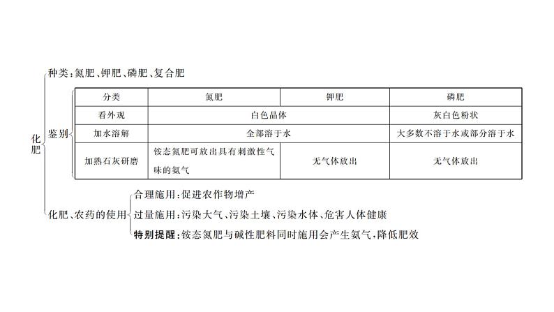 2023年中考安徽专用化学一轮考点知识梳理第十一单元　盐　化肥课件PPT03