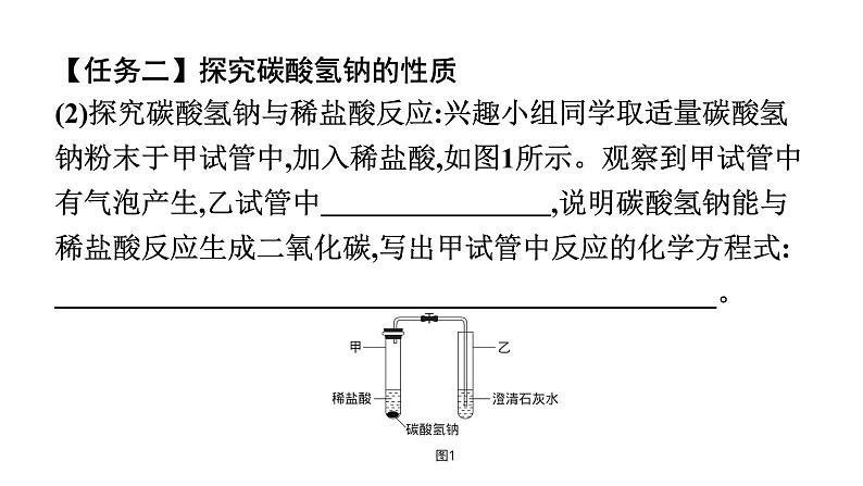 2023年中考安徽专用化学一轮考点知识梳理第十一单元　盐　化肥课件PPT05