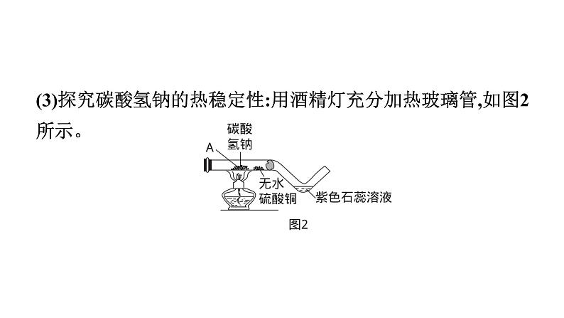 2023年中考安徽专用化学一轮考点知识梳理第十一单元　盐　化肥课件PPT06