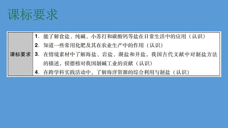 2023年中考化学复习专题----盐和化肥课件PPT第2页