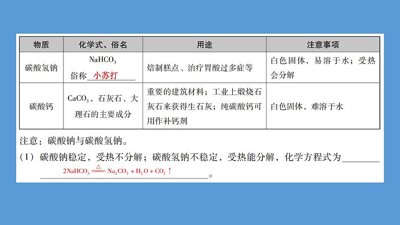 2023年中考化学复习专题----盐和化肥课件PPT第5页