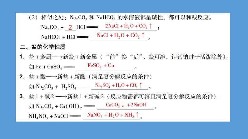 2023年中考化学复习专题----盐和化肥课件PPT第6页