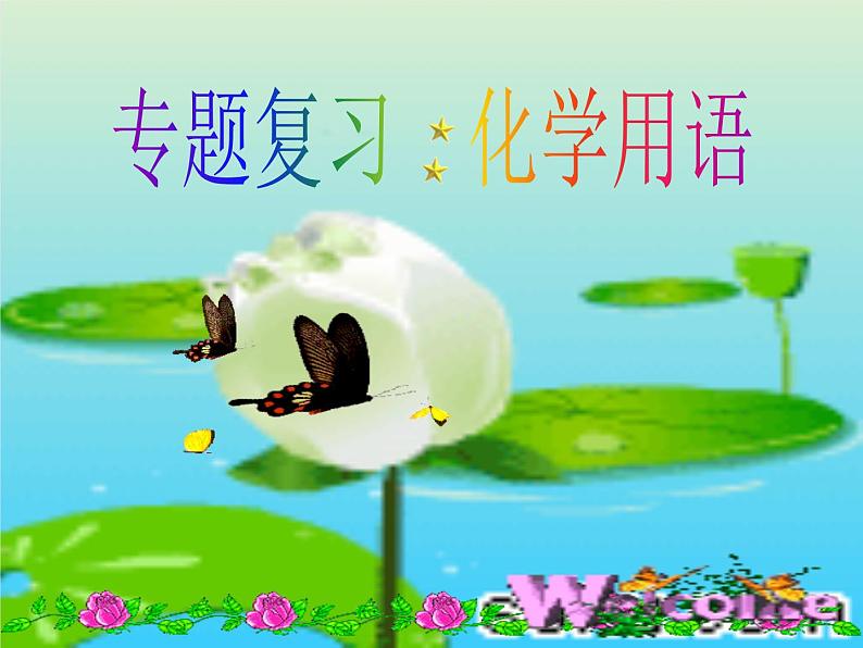 2023年中考化学专题复习之化学用语课件PPT02