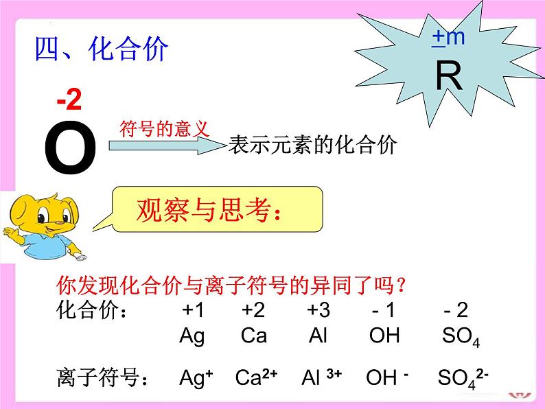 2023年中考化学专题复习之化学用语课件PPT08