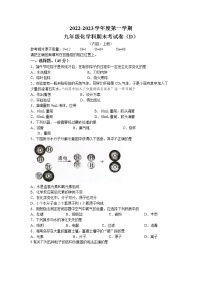 广东省汕头市潮阳区2022-2023学年九年级上学期期末化学试题