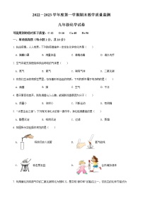 吉林省吉林市永吉县2022-2023学年九年级上学期期末考试化学试题