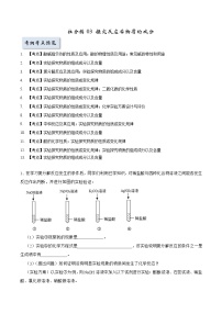 拉分练03 探究反应后物质的成分-中考化学拉分题专练—实验探究及推断题