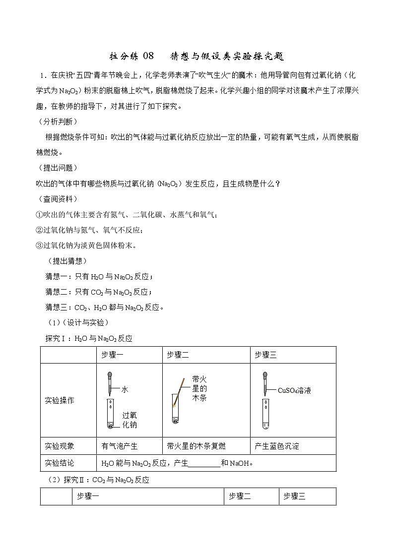 拉分练08 猜想与假设类实验探究题-中考化学拉分题专练—实验探究及推断题01