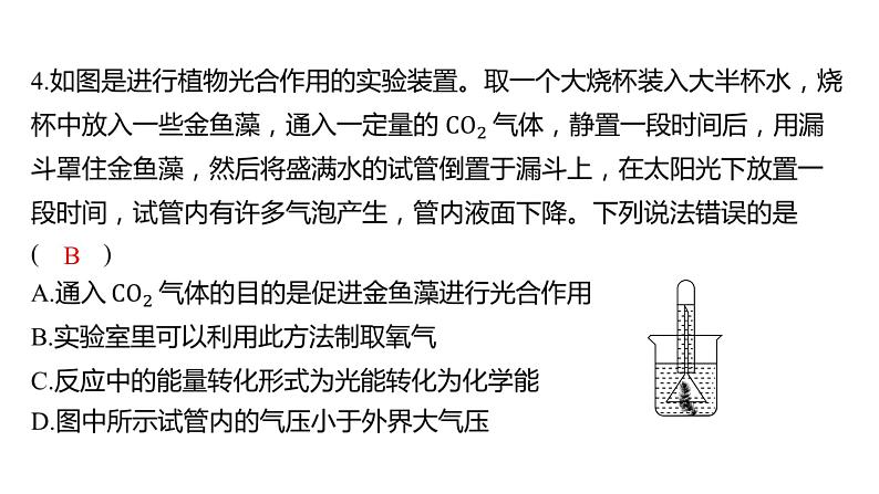 备考2023中考趋向卷——新课标跨学科实践专练（湖南专版）课件PPT第7页