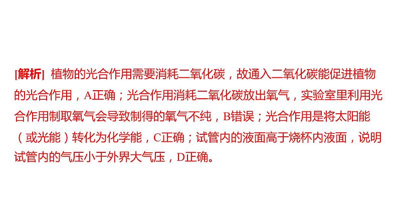 备考2023中考趋向卷——新课标跨学科实践专练（湖南专版）课件PPT第8页