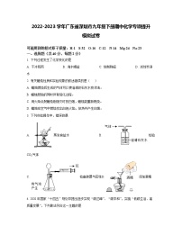 2022-2023学年广东省深圳市九年级下册期中化学专项提升模拟试卷（含解析）