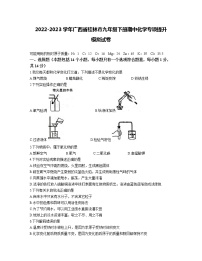 2022-2023学年广西省桂林市九年级下册期中化学专项提升模拟试卷（含解析）