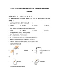 2022-2023学年河南省南阳市九年级下册期中化学专项突破模拟试卷（含解析）