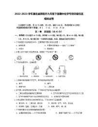 2022-2023学年湖北省邵阳市九年级下册期中化学专项突破仿真模拟试卷（含解析）