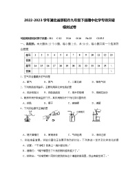 2022-2023学年湖北省邵阳市九年级下册期中化学专项突破模拟试卷（含解析）