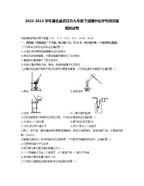 2022-2023学年湖北省武汉市九年级下册期中化学专项突破模拟试卷（含解析）