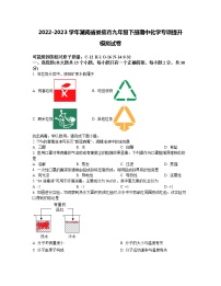 2022-2023学年湖南省娄底市九年级下册期中化学专项提升模拟试卷（含解析）