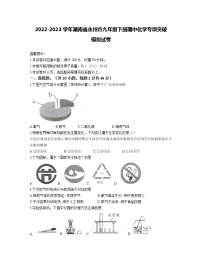 2022-2023学年湖南省永州市九年级下册期中化学专项突破模拟试卷（含解析）