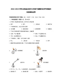 2022-2023学年吉林省吉林市九年级下册期中化学专项提升仿真模拟试卷（含解析）