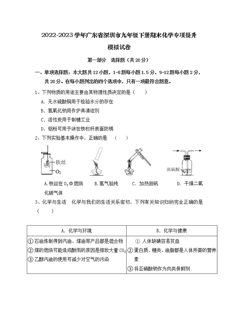 2022-2023学年广东省深圳市九年级上册期末化学专项提升模拟试卷（含解析）第1页