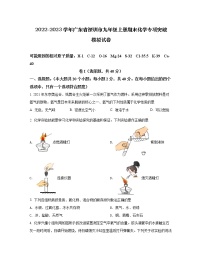 2022-2023学年广东省深圳市九年级上册期末化学专项突破模拟试卷（含解析）