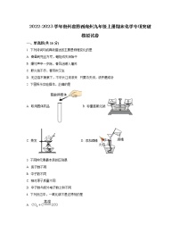 2022-2023学年贵州省黔西南州九年级上册期末化学专项突破模拟试卷（含解析）