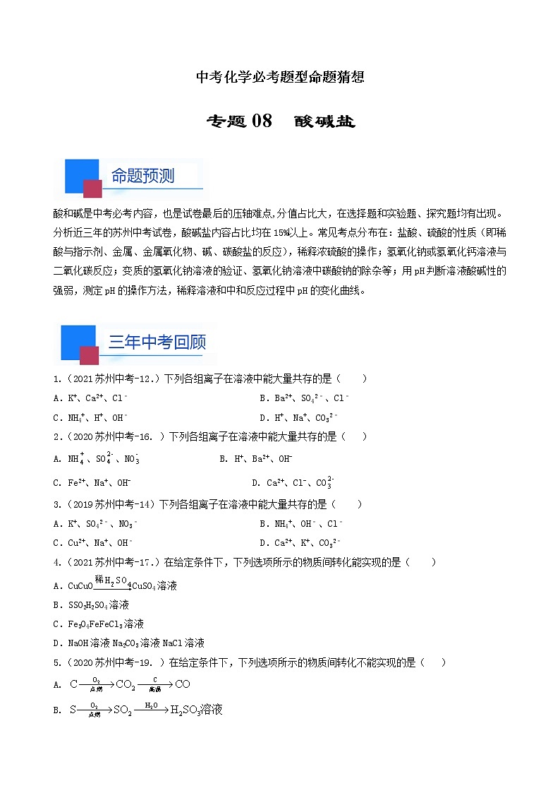 考点08 酸碱盐-中考化学必考题型命题猜想（江苏苏州卷）（原卷版）第1页